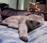 IMG_1547.jpg