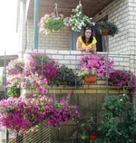 SDC11400.webp