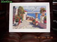 DSCN4386.webp