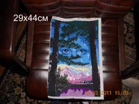 DSCN4394.webp