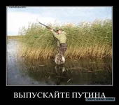 68413.webp