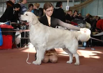 5.6 марта 2011 072.webp