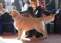 Донецк5.6 марта 2011 119.jpg