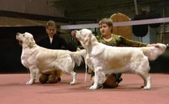 5.6 марта 2011 246.webp
