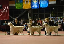 5.6 марта 2011 291.webp