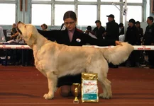 5.6 марта 2011 521.webp