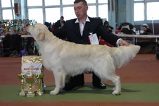 5.6 марта 2011 683.webp