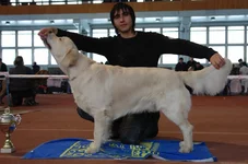 5.6 марта 2011 005.webp