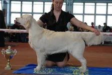 5.6 марта 2011 691.webp