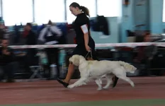 5.6 марта 2011 384.webp