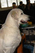 5.6 марта 2011 338.webp