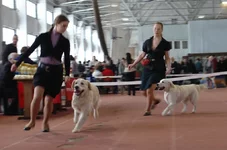 5.6 марта 2011 388.webp