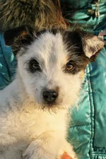 14_02_2011 042_01.webp