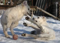 10 марта2011 067.webp