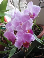 6%20004.webp
