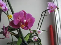 IMG_3888.webp