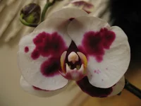 2010 789.jpg