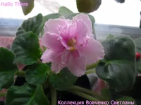 hallo there [1600x1200].webp