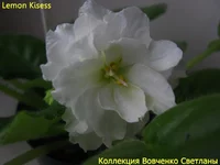 IMG_6381 [1600x1200].webp