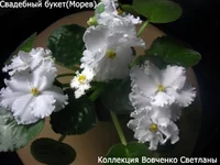 IMG_6476 [1600x1200].webp