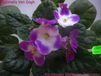 IMG_6518 [1600x1200].webp