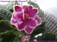 IMG_6566 [1600x1200].webp