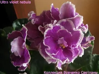 IMG_6572 [1600x1200].webp