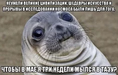 yf4IJh6aQbE.jpg