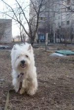 DSC07962.webp