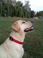 Foto-0006_e1.jpg