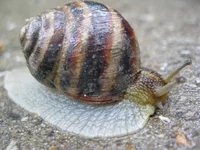 IMG_0931.jpg