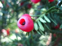 IMG_2357.jpg