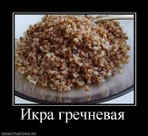 507168_ikra-grechnevaya.webp
