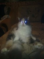28022011066.jpg