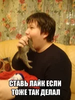 13671293657113.jpg