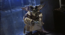 tQj9HDl6YxbcQ.gif