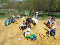 d012.jpg