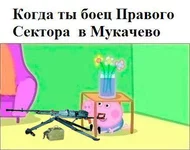CJpyVuCWwAAjtAp.jpg
