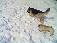 11032011601.jpg