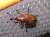 IMG_8589.jpg