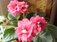 -Бабье лето2.webp