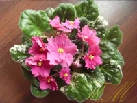 Kate'z rendezvous4.webp