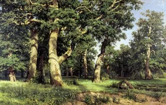 0SHISHKIN_DUB_ROSHA.webp