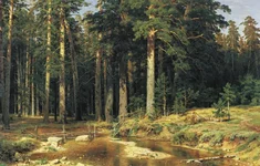 0Shishkin_korabelniy_les.webp