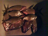 DSC00325.webp
