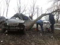 2011-03-18 _3_50.webp