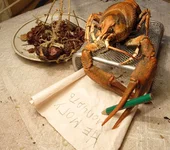 натюр-(3).jpg