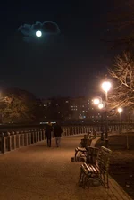 DSC_00212.webp