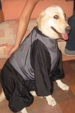 0091.webp
