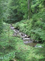 IMG_6553.webp